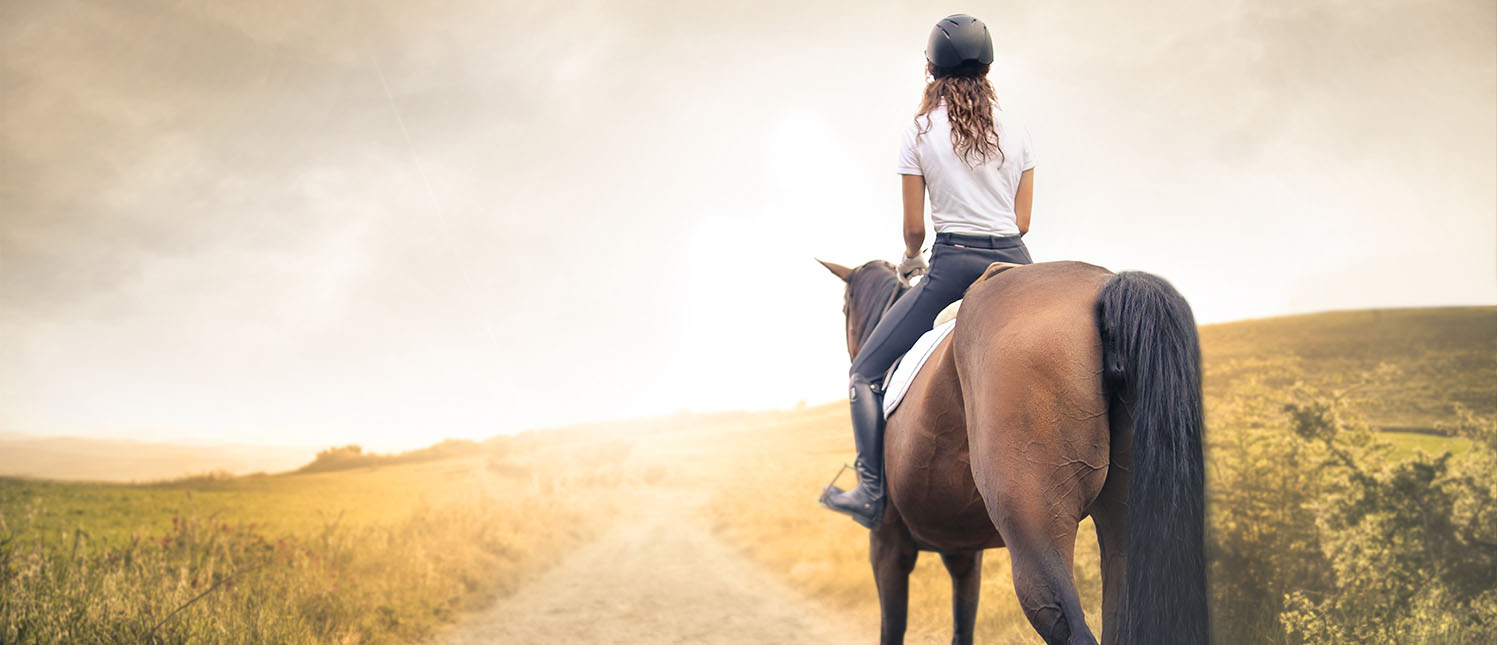 Ein Mädchen reitet auf ihren Pferd einen Bergpfad hoch